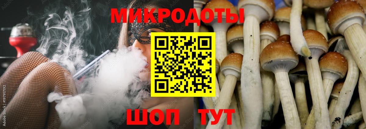 Галлюциногенные грибы GOLDEN TEACHER  Вход с VPN  Гусев  Галлюциногенные грибы Psilocybine cubensis 